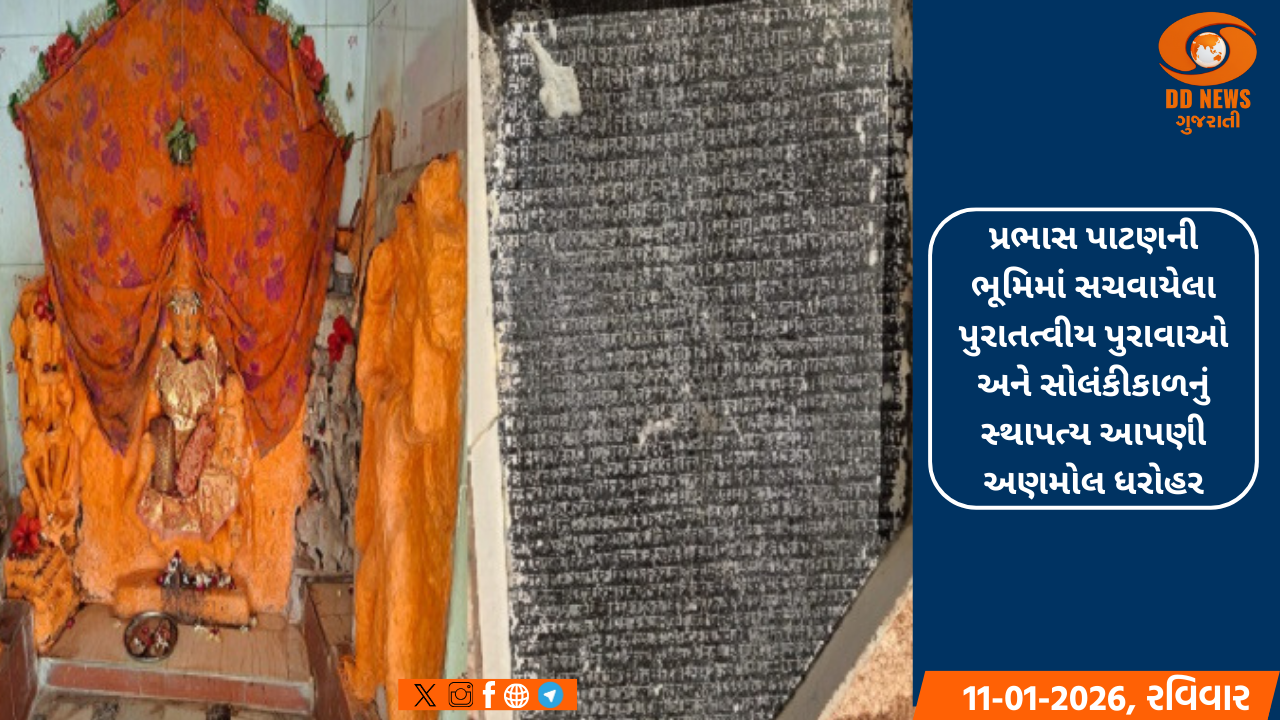 2 દાયકા બાદ સૌરાષ્ટ્રના ખેડૂતો સીંગતેલ તરફ વળતા ગીરનાં ગામડાઓમાં ધમધમી મીની મિલો