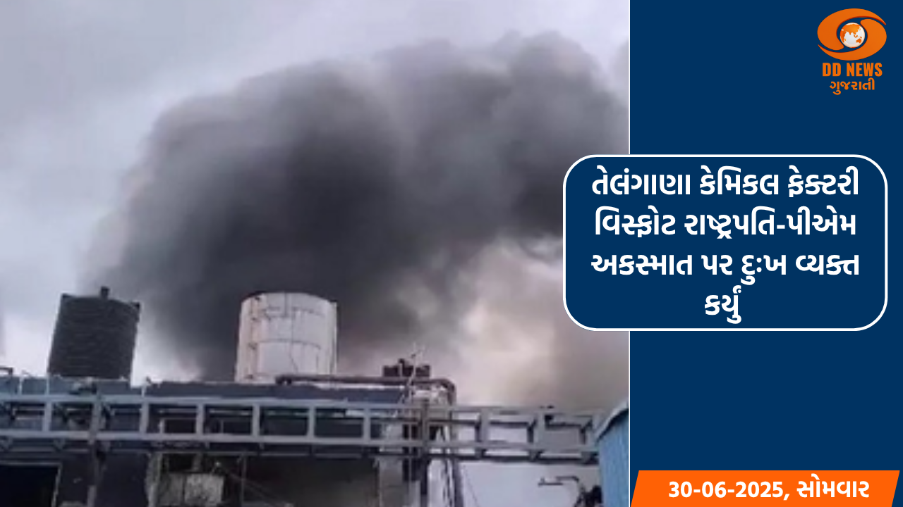 ચોમાસાની ઋતુમાં વિજયનગરના પોળોના જંગલોમાં પ્રકૃતિની ભેટ સોળે કળાએ ખીલી ઉઠી