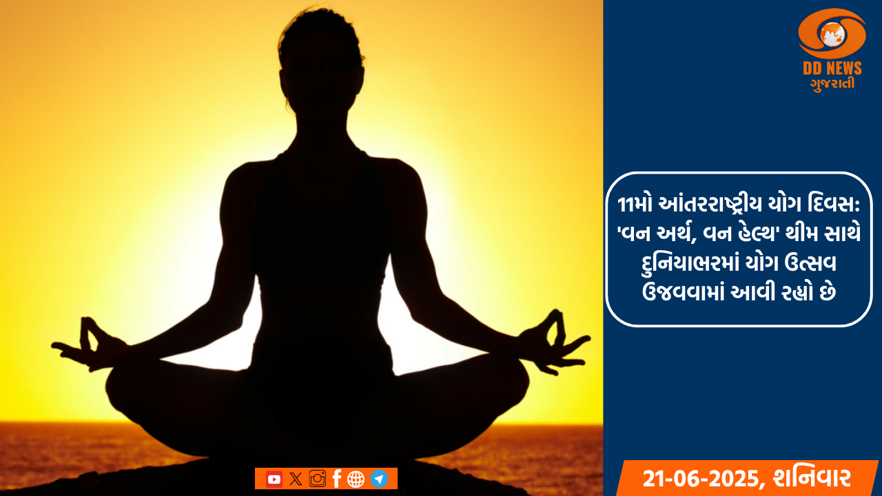11મો આંતરરાષ્ટ્રીય યોગ દિવસ: 'વન અર્થ, વન હેલ્થ' થીમ સાથે દુનિયાભરમાં યોગ ઉત્સવ ઉજવવામાં આવી રહ્યો છે