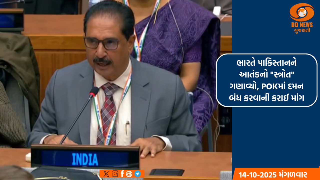 ભારતે પાકિસ્તાનને આતંકનો 