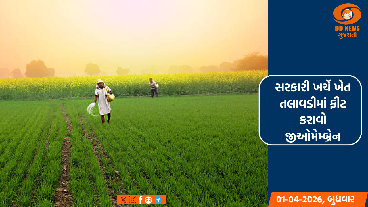 સરકારી ખર્ચે ખેત તલાવડીમાં ફીટ કરાવો જીઓમેમ્બ્રેન