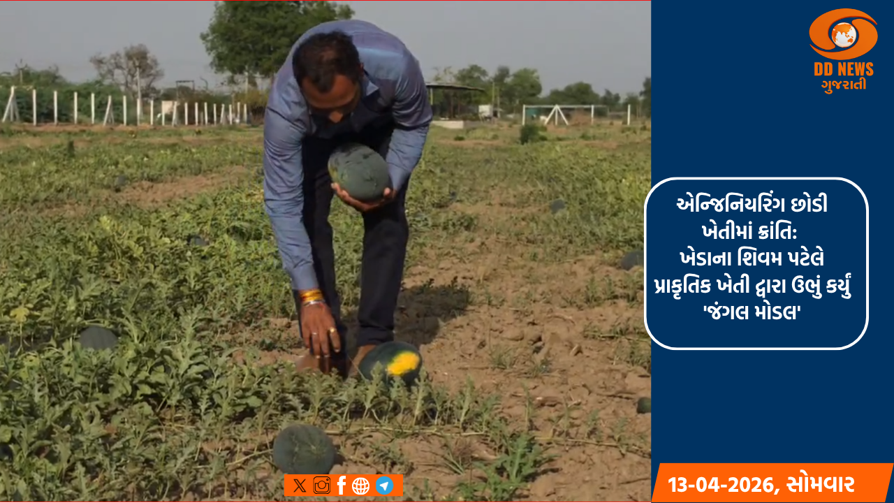 એન્જિનિયરિંગ છોડી ખેતીમાં ક્રાંતિ: ખેડાના શિવમ પટેલે પ્રાકૃતિક ખેતી દ્વારા ઉભું કર્યું 'જંગલ મોડલ'