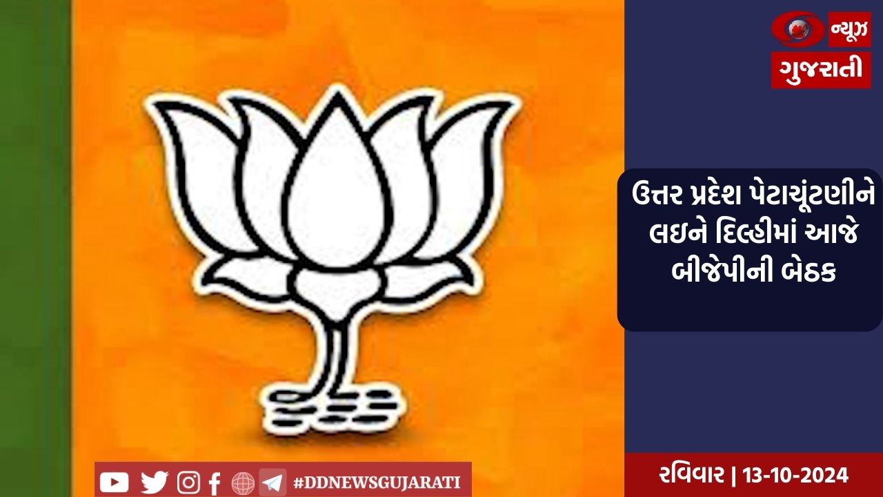 ઉત્તર પ્રદેશ પેટાચૂંટણીને લઇને દિલ્હીમાં આજે બીજેપીની બેઠક