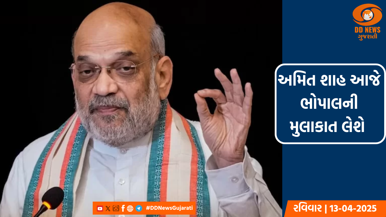 PM મોદીએ યુક્રેનના રાષ્ટ્રપતિ ઝેલેન્સ્કી સાથે કરી વાતચીત; જાન-માલના નુકસાન અંગે દુઃખ વ્યક્ત કર્યું
