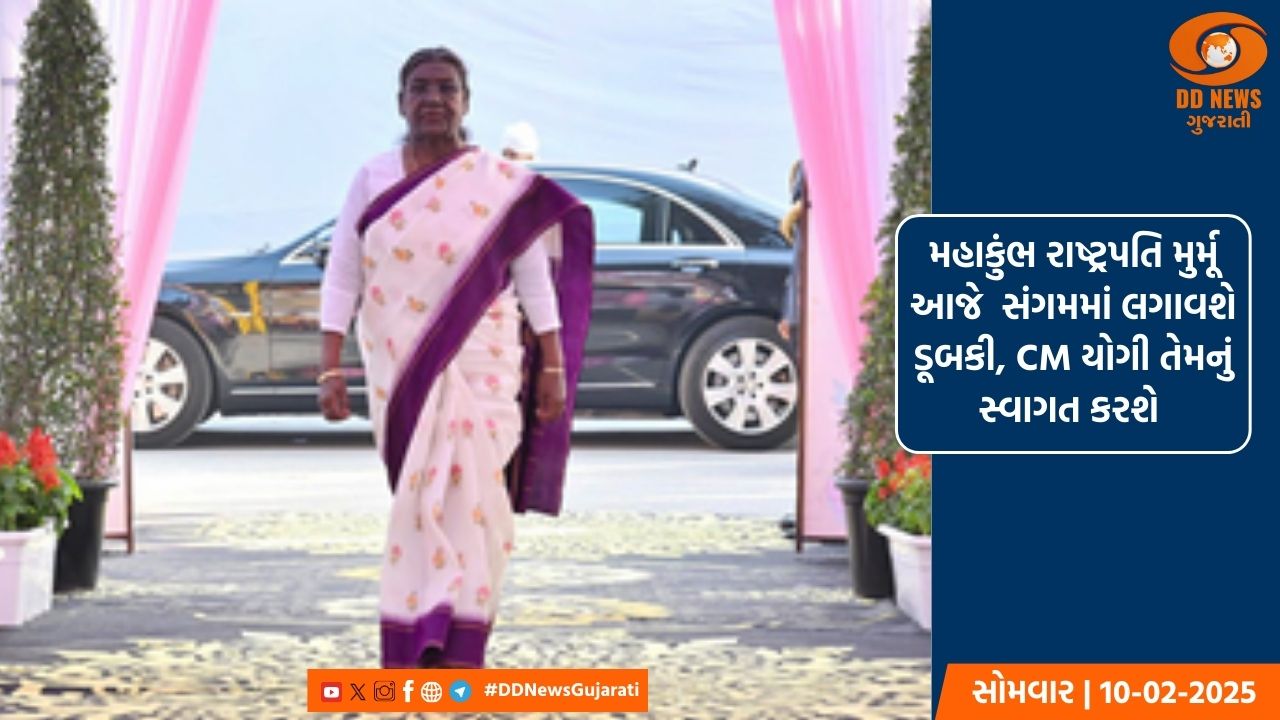 અમેરિકામાં કેલિફોર્નિયાના એક બારમાં ગોળીબાર, 13 લોકોના મોત