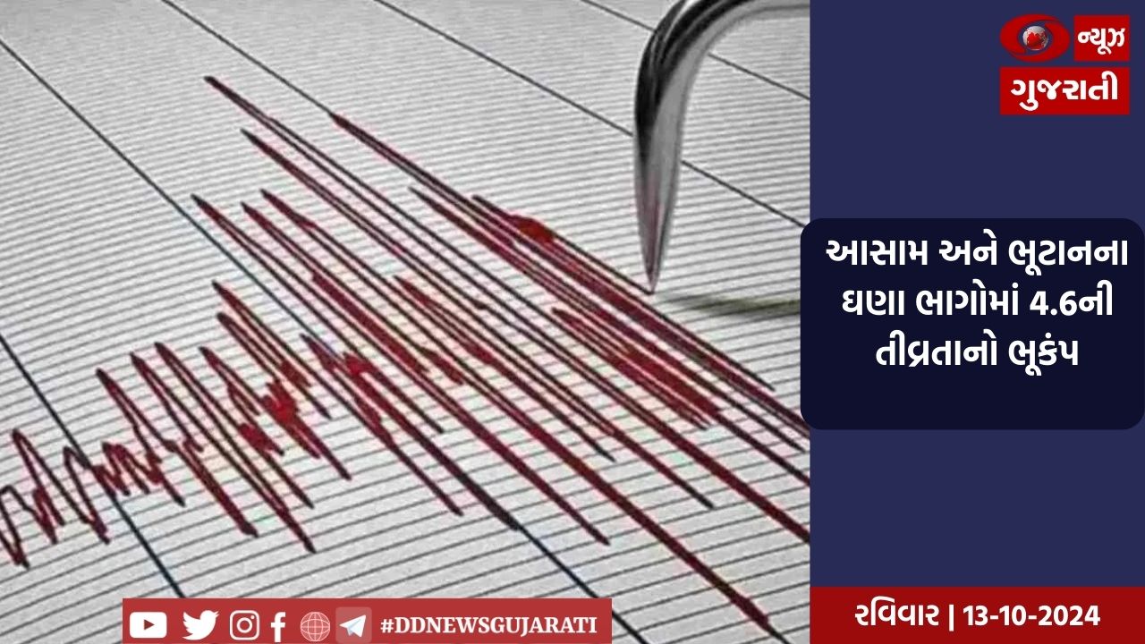 આસામ અને ભૂટાનના ઘણા ભાગોમાં 4.6ની તીવ્રતાનો ભૂકંપ