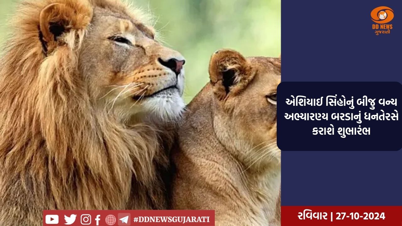 જામનગર ખાતે  અમિત ચાવડા અને પરેશ ધાનાણીએ કાર્યકર્તાઓ સાથે બેઠક