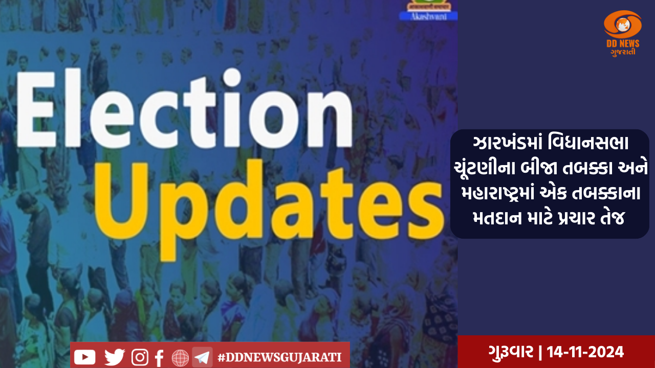 વડોદરા: સયાજી હોસ્પિટલમાં તબીબો અને નર્સ બહેનો સાથે સગર્ભાઓ પણ ગરબે ઘૂમી