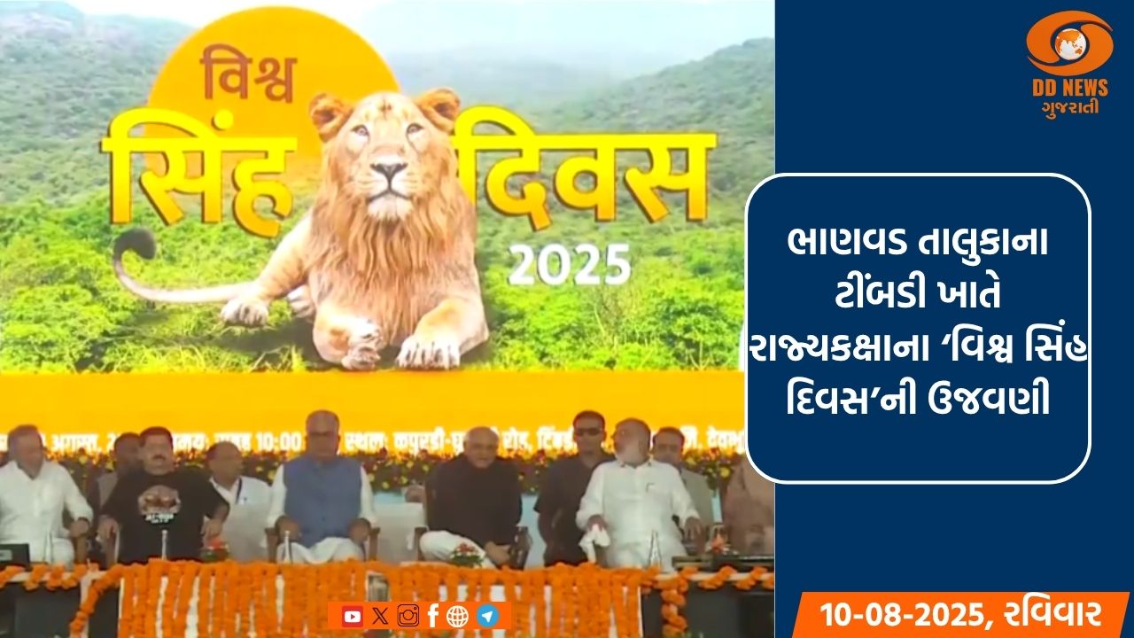 ભાણવડ તાલુકાના ટીંબડી ખાતે રાજ્યકક્ષાના ‘વિશ્વ સિંહ દિવસ’ની ઉજવણી, મુખ્યમંત્રી ભૂપેન્દ્ર પટેલ રહ્યાં ઉપસ્થિત