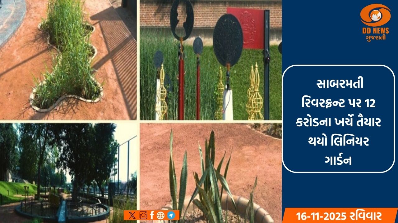  સાબરમતી રિવરફ્રન્ટ પર 12 કરોડના ખર્ચે તૈયાર થયો 1 કિલોમીટર લાંબો લિનિયર ગાર્ડન