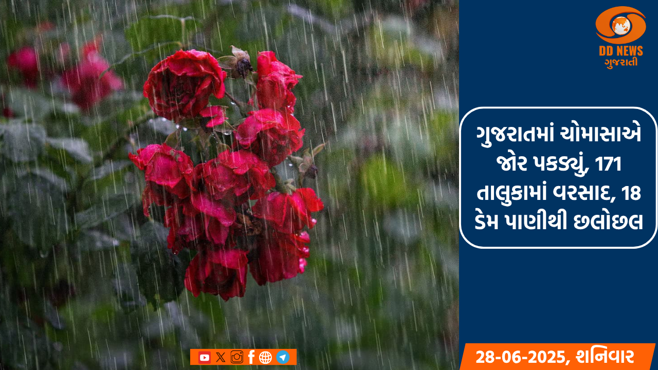 ગુજરાતમાં ચોમાસાએ જોર પકડ્યું, 171 તાલુકામાં વરસાદ, 18 ડેમ પાણીથી છલોછલ