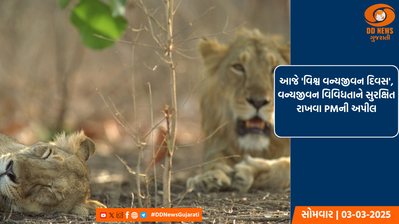આજે 'વિશ્વ વન્યજીવન દિવસ', વન્યજીવન વિવિધતાને સુરક્ષિત રાખવા PMની અપીલ