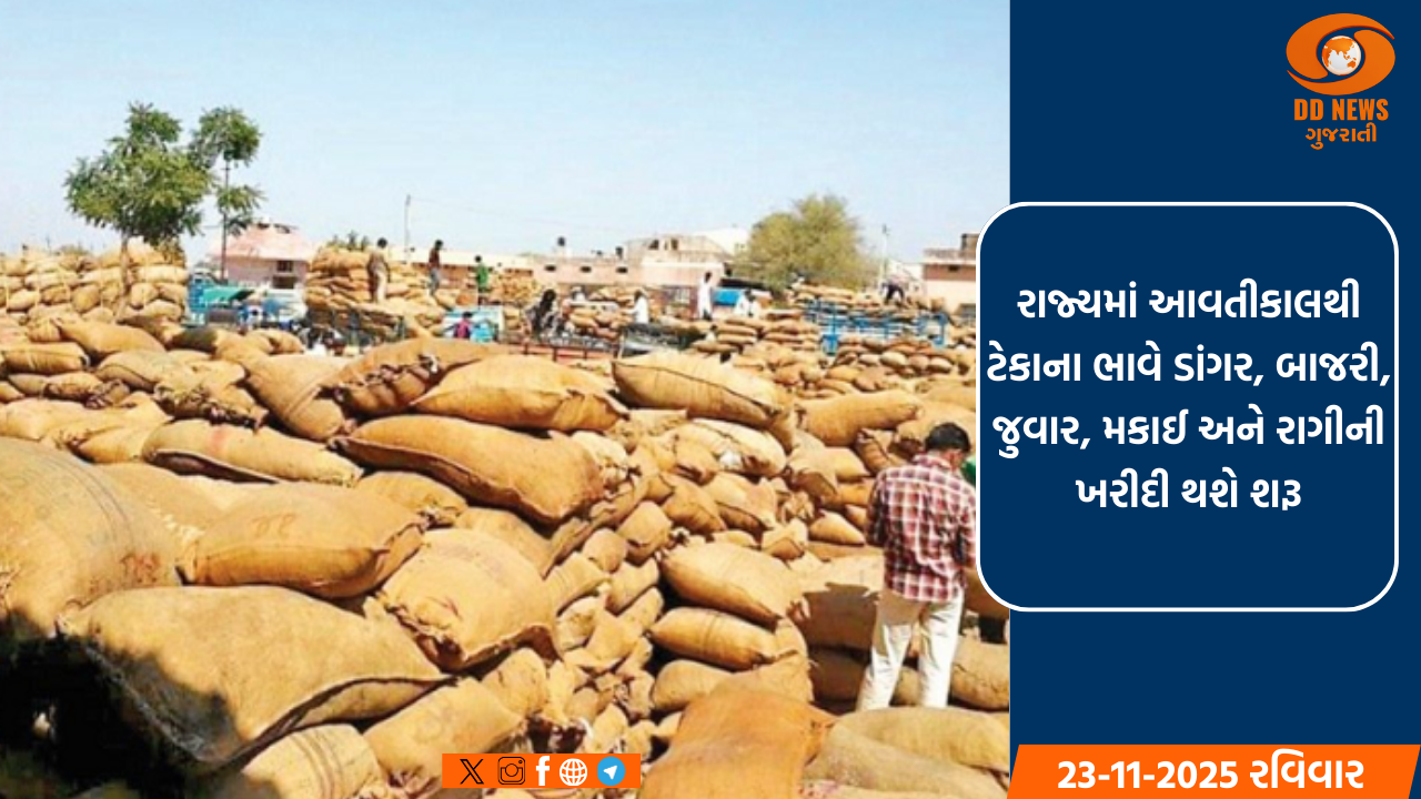 રાજ્યમાં આવતીકાલથી ટેકાના ભાવે ડાંગર, બાજરી, જુવાર, મકાઈ અને રાગીની ખરીદી થશે શરૂ