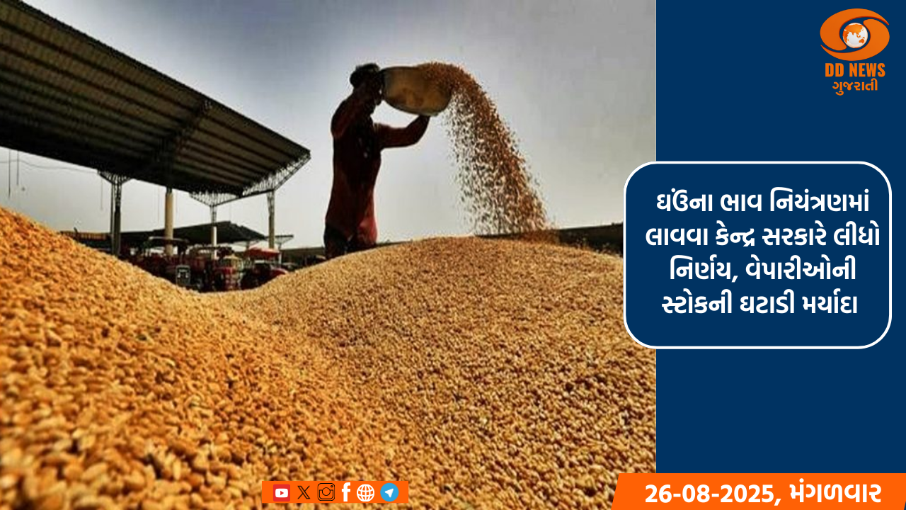 ઘઉંના ભાવ નિયંત્રણમાં લાવવા કેન્દ્ર સરકારે લીધો નિર્ણય, વેપારીઓની સ્ટોકની ઘટાડી મર્યાદા 