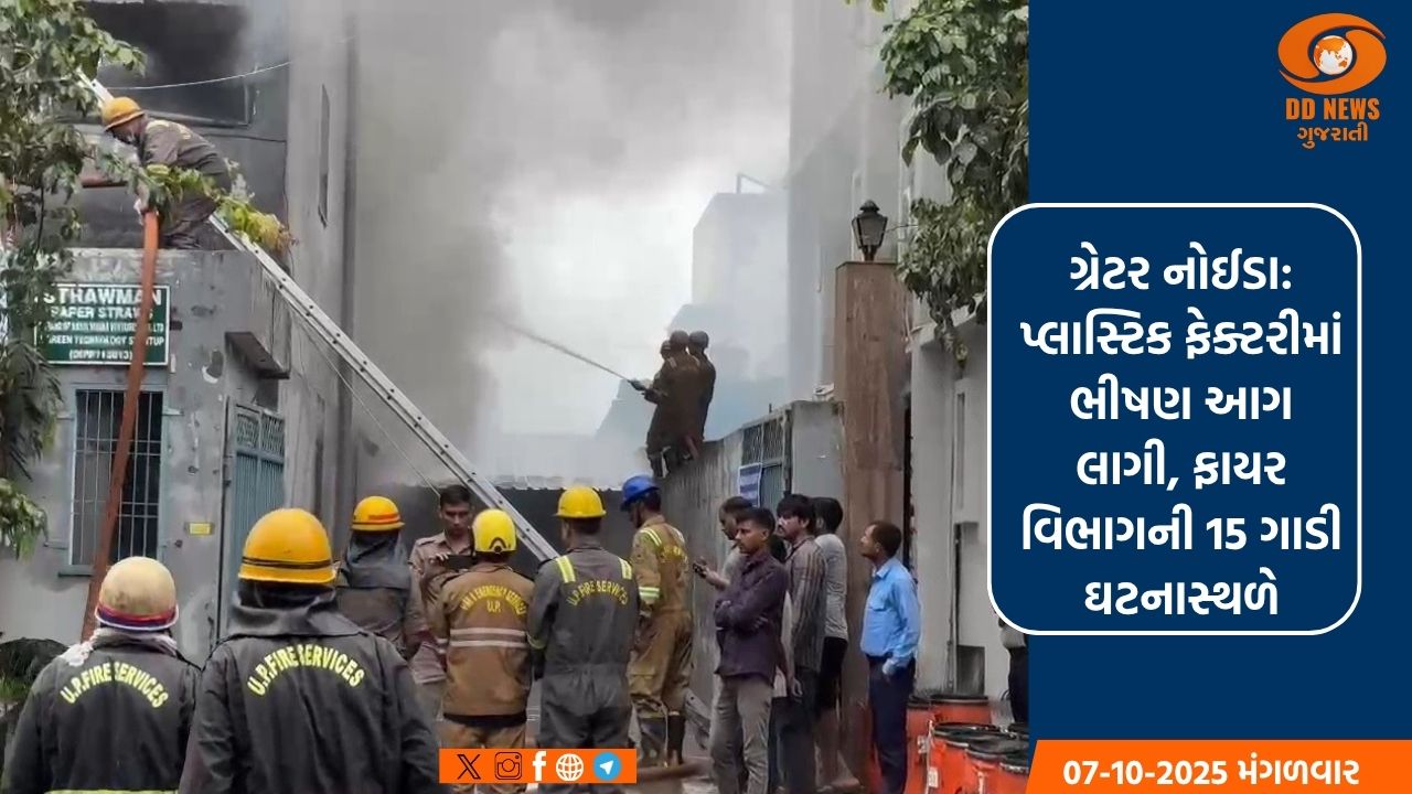 ગ્રેટર નોઈડા: પ્લાસ્ટિક ફેક્ટરીમાં ભીષણ આગ લાગી, ફાયર વિભાગની 15 ગાડી ઘટનાસ્થળે