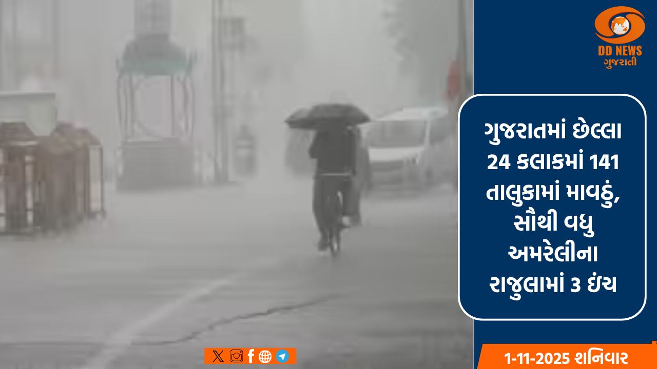 ગુજરાતમાં છેલ્લા 24 કલાકમાં 141 તાલુકામાં માવઠું, સૌથી વધુ અમરેલીના રાજુલામાં 3 ઇંચ