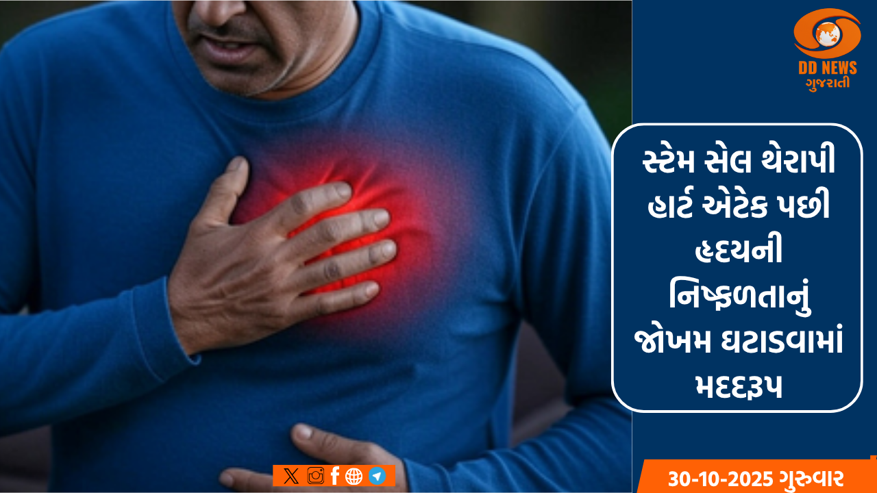 સ્ટેમ સેલ થેરાપી હાર્ટ એટેક પછી હૃદયની નિષ્ફળતા નું જોખમ ઘટાડવામાં મદદરૂપ