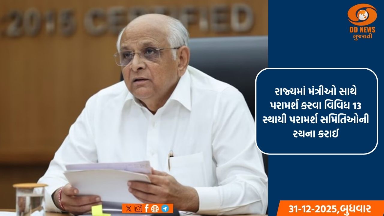 રાજ્યમાં મંત્રીઓ સાથે પરામર્શ કરવા વિવિધ 13 સ્થાયી પરામર્શ સમિતિઓની રચના કરાઈ