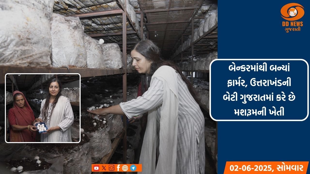 બેંકરમાંથી ફાર્મર બની મશરૂમનું માતબર ઉત્પાદન કરતાં વર્ષાબહેન આલોક