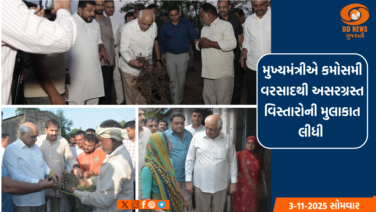 મુખ્યમંત્રી ભૂપેન્દ્ર પટેલે ગીર-સોમનાથ, જુનાગઢ જિલ્લાના ગામોમાં જાતે જઈને પાક નુકસાનીનું સ્થળ-સ્થિતિનું નિરીક્ષણ કર્યુ
