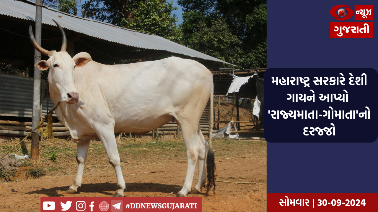 ગ્રામ્ય વિસ્તારમાં રખડતા બિનવારસી પશુઓને યોગ્ય રહેઠાણ અને માવજતની વ્યવસ્થા માટે  સરકાર દ્વારા સહાય મળશે