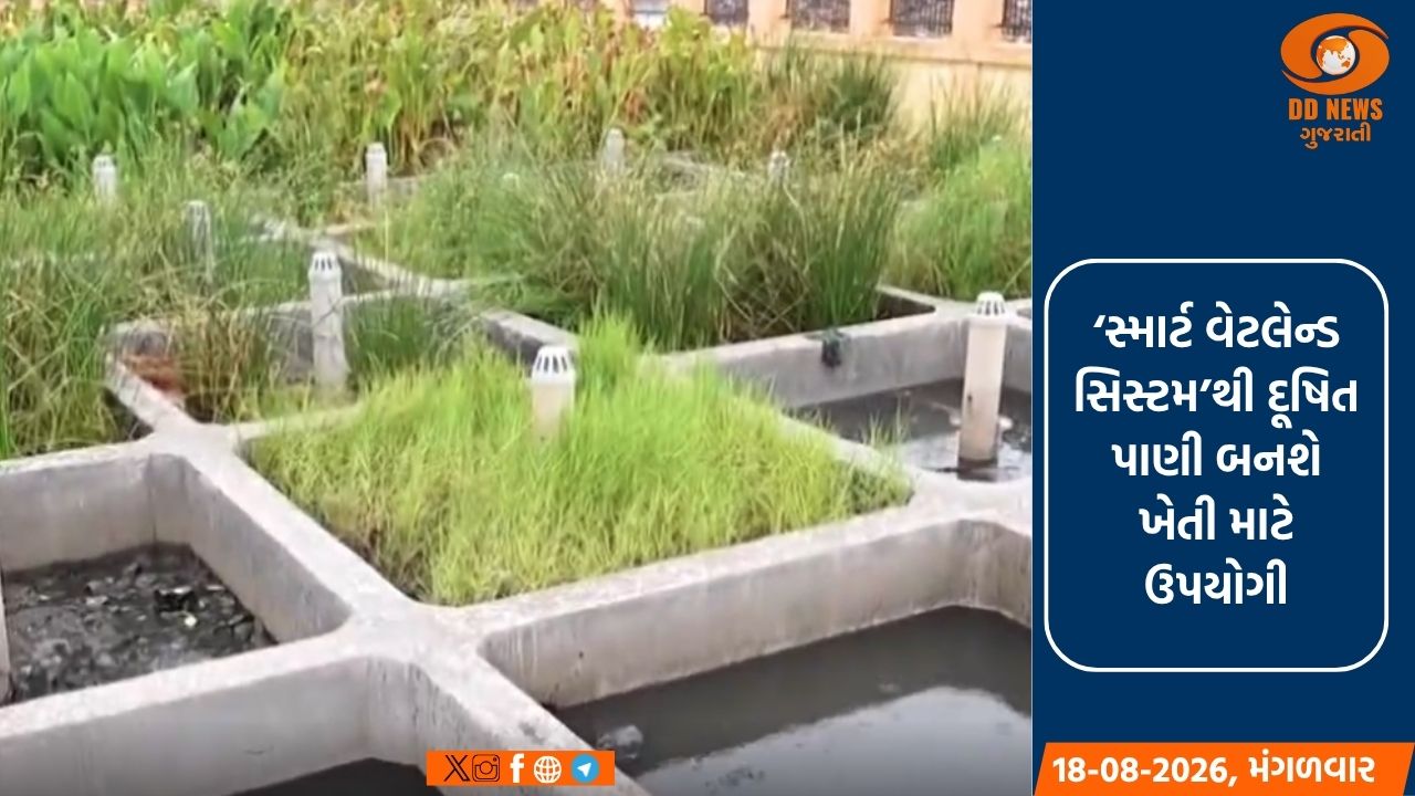 CSMCRIની ‘સ્માર્ટ વેટલેન્ડ સિસ્ટમ’થી દૂષિત પાણીનું શુદ્ધિકરણ