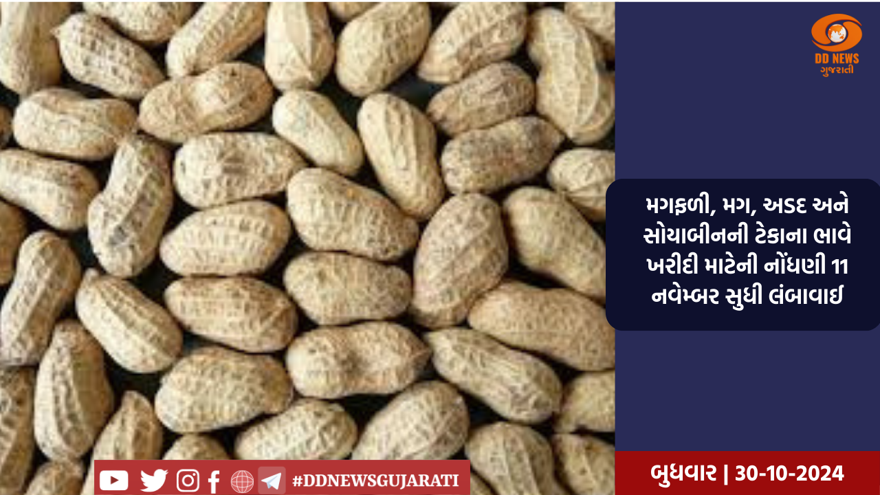 IOA એ 2036 ઓલિમ્પિકની યજમાની તરફ પહેલું પગલું ભર્યું, FHC સાથે વાતચીત કરી શરૂ