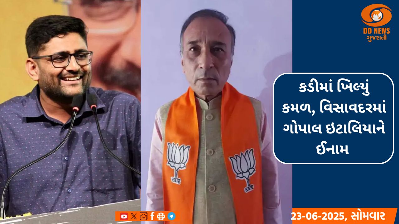 કડીમાં ખિલ્યું કમળ, વિસાવદરમાં ઇટાલિયાને ઈનામ 