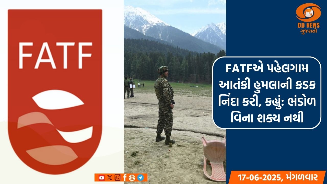 FATFએ પાકિસ્તાનને આપ્યો મોટો આંચકો, ગ્રે લિસ્ટમાં રહેશે યથાવત 
