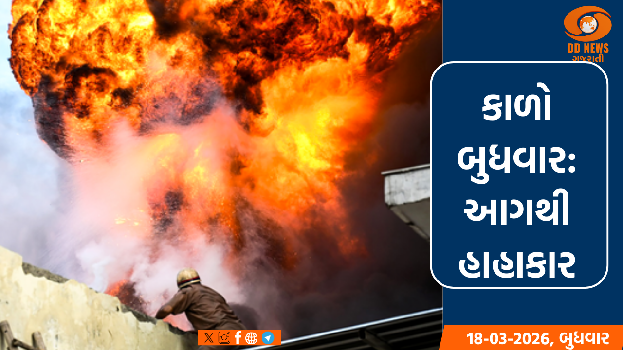 દિલ્હીમાં પેઇન્ટ ફેક્ટરીમાં લાગેલી આગમાં 11 કામદારોના મોત 