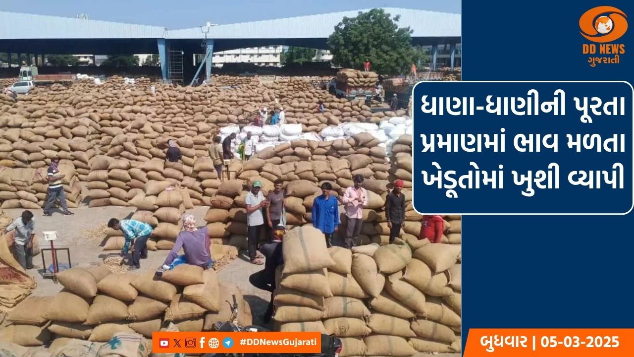 ગોંડલ માર્કેટિંગ યાર્ડ ખાતે ધાણા અને ધાણીની ખરીદી શરૂ, અંદાજે 2 લાખ ગુણીની આવક