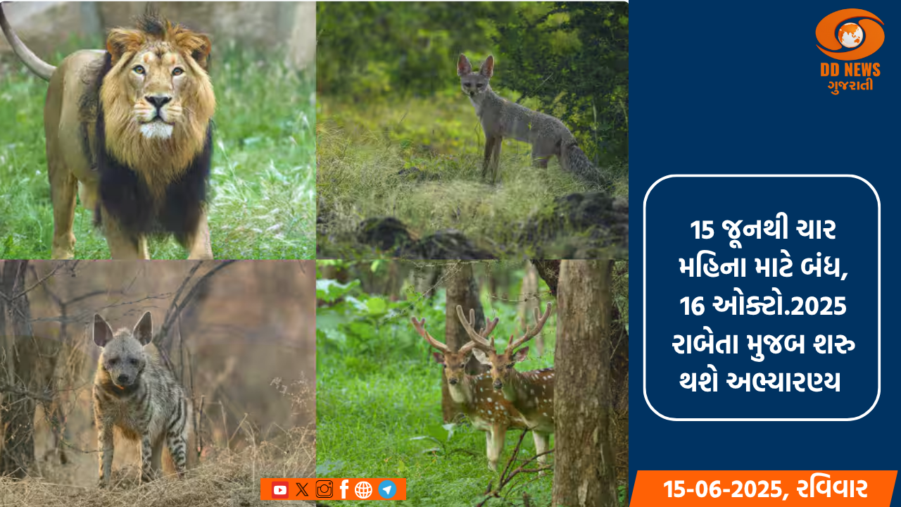 ગુજરાતના તમામ અભ્યારણ્યો 15 જૂનથી 4 મહિના માટે રહેશે બંધ,વનવિભાગે વગાવ્યો પ્રતિબંધ 