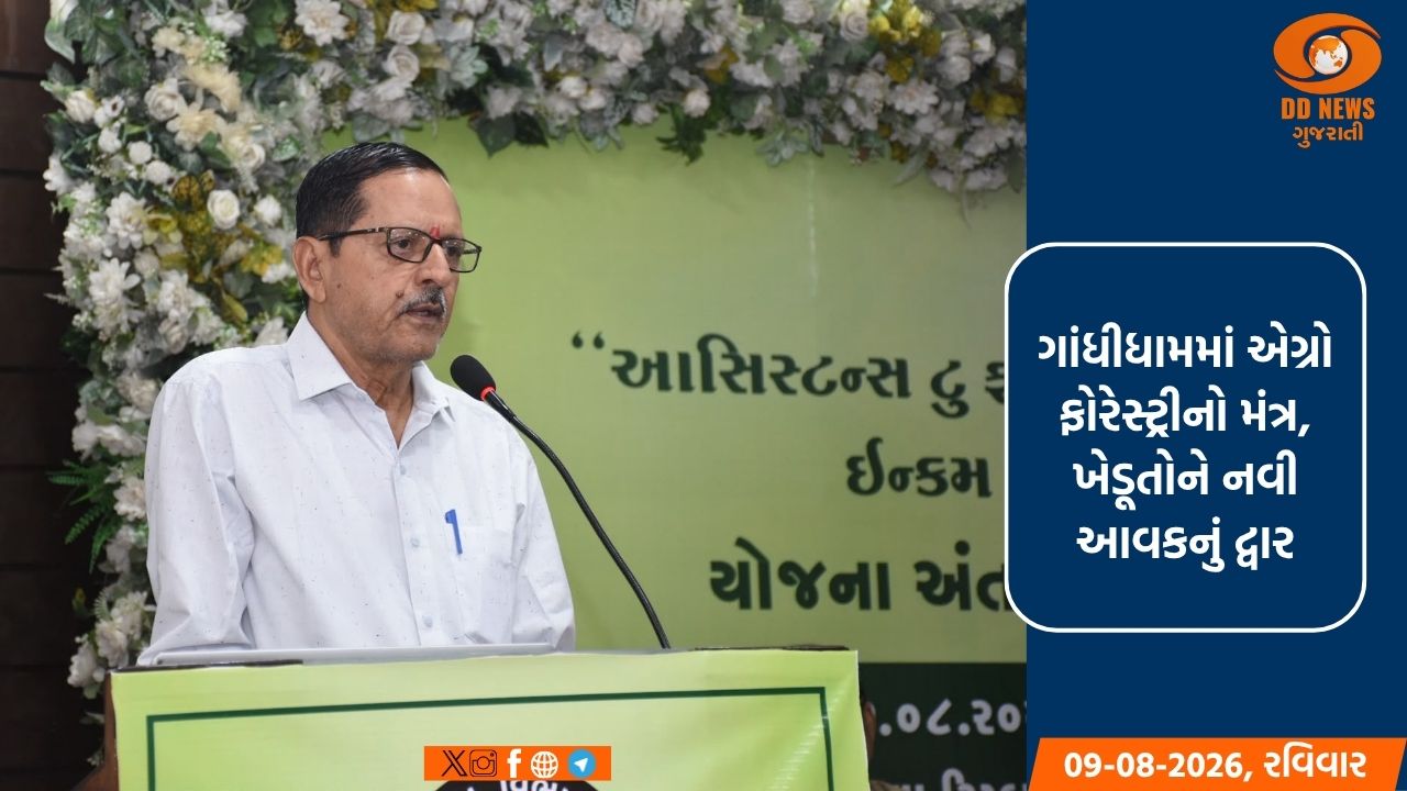કચ્છના ખેતરો હવે આપશે પાક સાથે લાકડાની પણ કમાણી