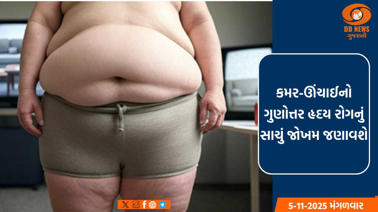 કમર અને ઊંચાઈનો ગુણોત્તર જણાવશે હૃદય રોગનું સાચું જોખમ