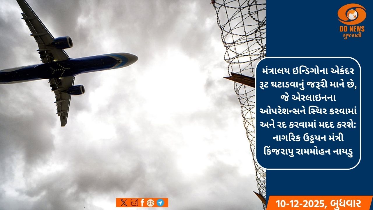 ઉડ્ડયન મંત્રાલયનો ઇન્ડિગો ફ્લાઇટ ઓપરેશનમાં 10% ઘટાડો કરવાનો આદેશ 