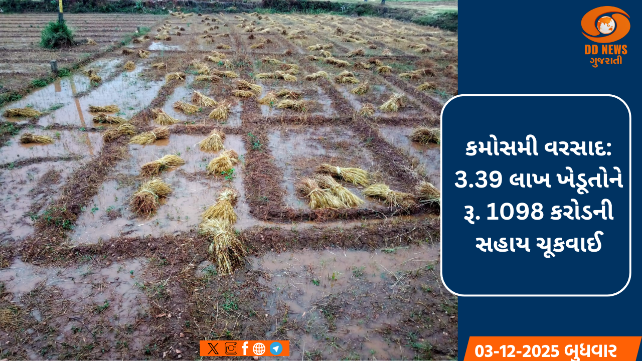 ખેડૂતોની પડખે અડીખમ ગુજરાત સરકાર: કમોસમી વરસાદના નુકસાન સામે રૂ. 1098 કરોડથી વધુની સહાય ચૂકવાઈ