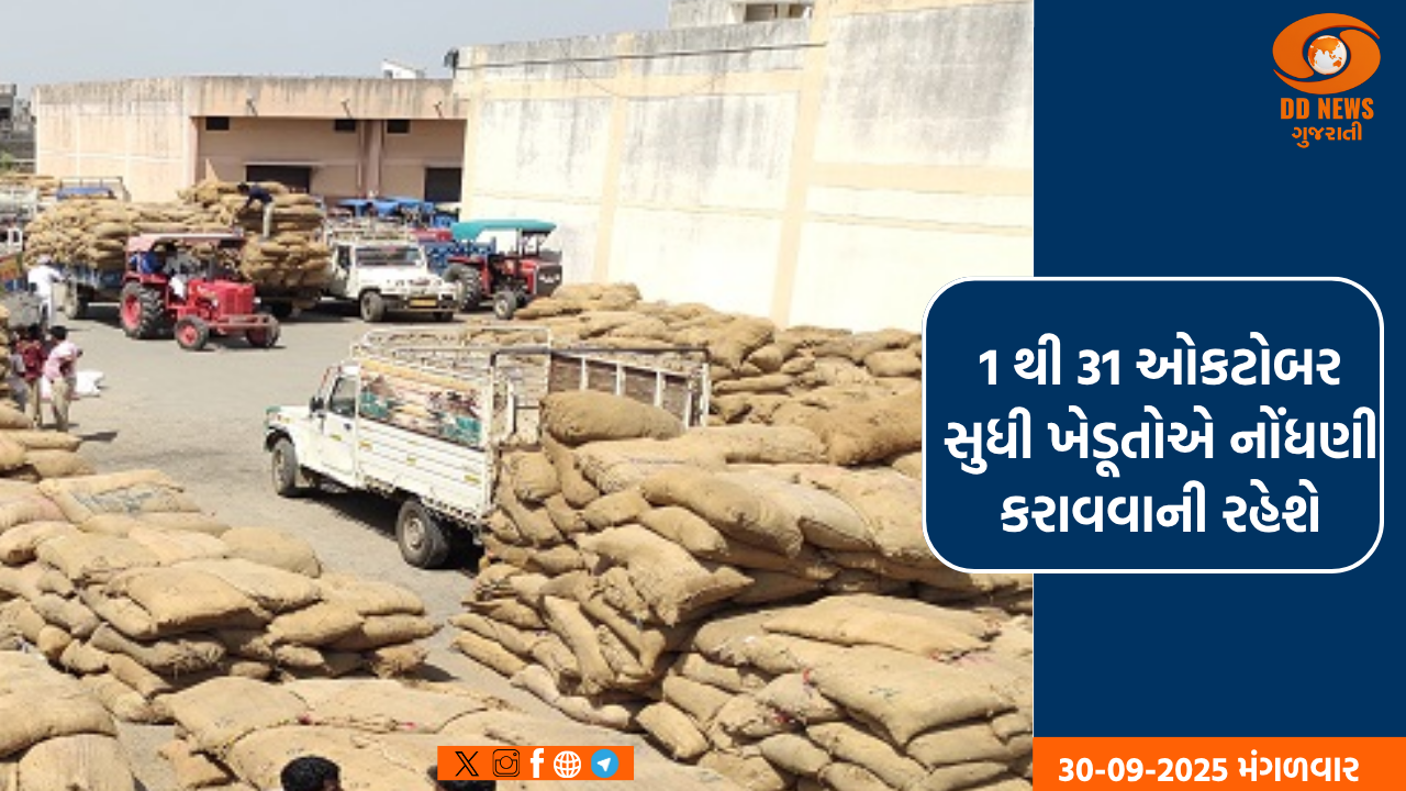  ડાંગર, બાજરી, જુવાર, રાગી અને મકાઇની લઘુતમ ટેકાના ભાવે સરકાર ખરીદી કરાશે