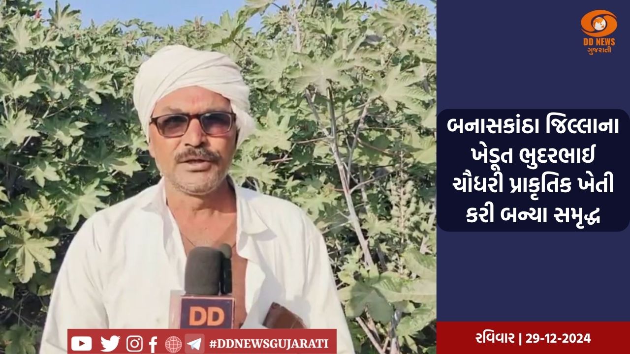 બનાસકાંઠા જિલ્લાના ખેડૂત ભુદરભાઈ ચૌધરી પ્રાકૃતિક ખેતી કરી બન્યા સમૃદ્ધ