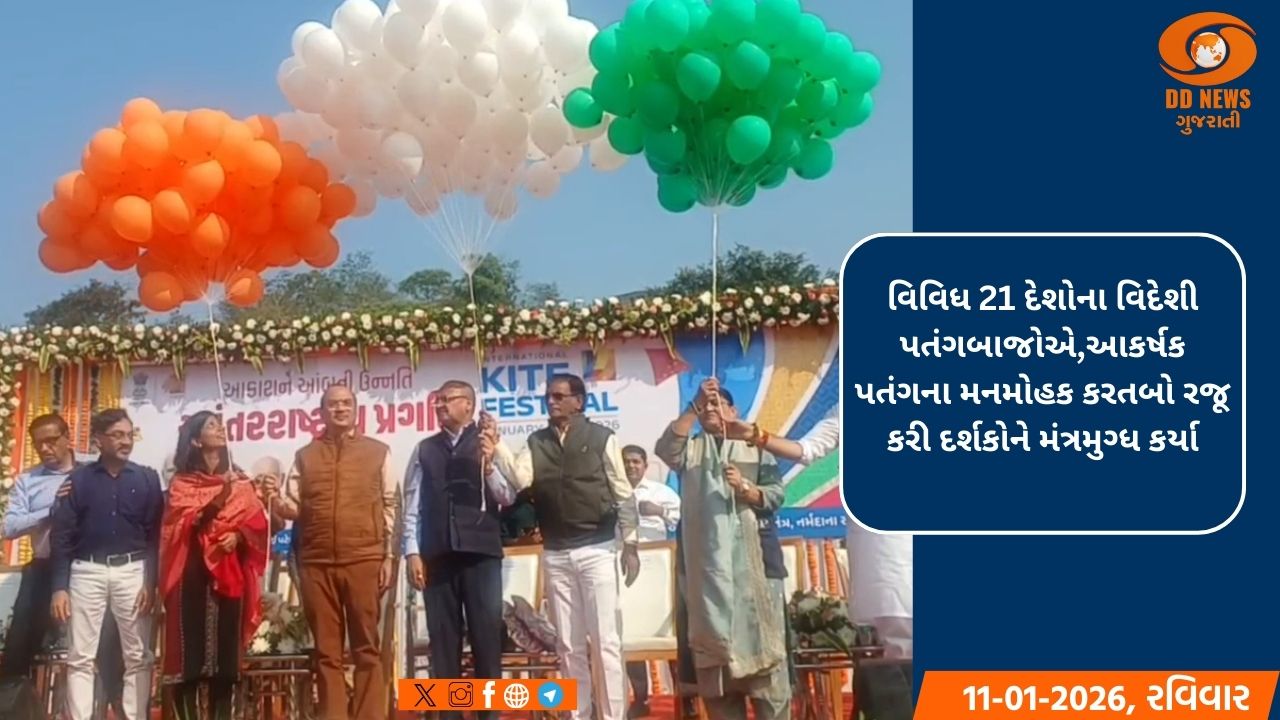 સ્ટેચ્યુ ઓફ યુનિટી ખાતે આંતરરાષ્ટ્રીય પતંગ મહોત્સવનું આયોજન કરવામાં આવ્યું 