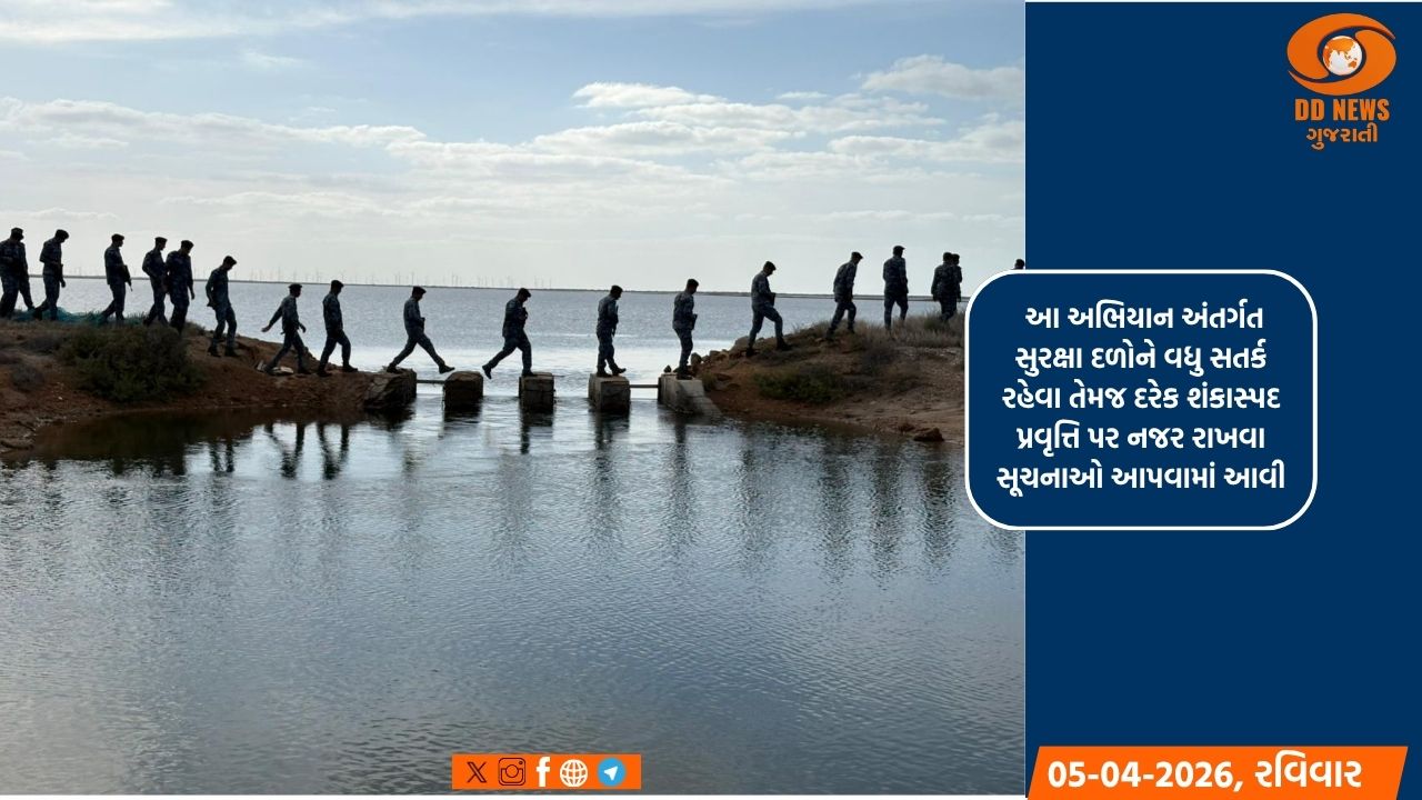લાખો પ્રવાસી પક્ષીઓનું શિયાળાનું સરનામું એટલે કચ્છનું નાનું રણ