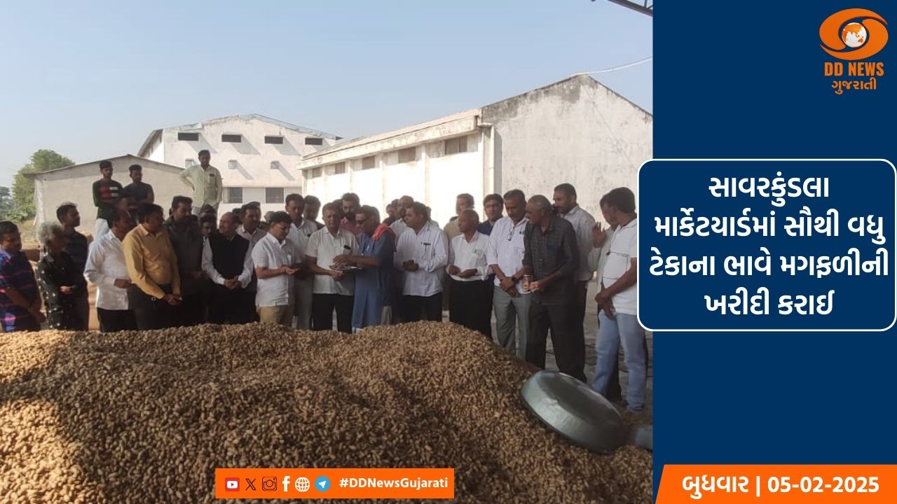 સાવરકુંડલા માર્કેટયાર્ડમાં સૌથી વધુ ટેકાના ભાવે મગફળીની ખરીદી કરાઈ