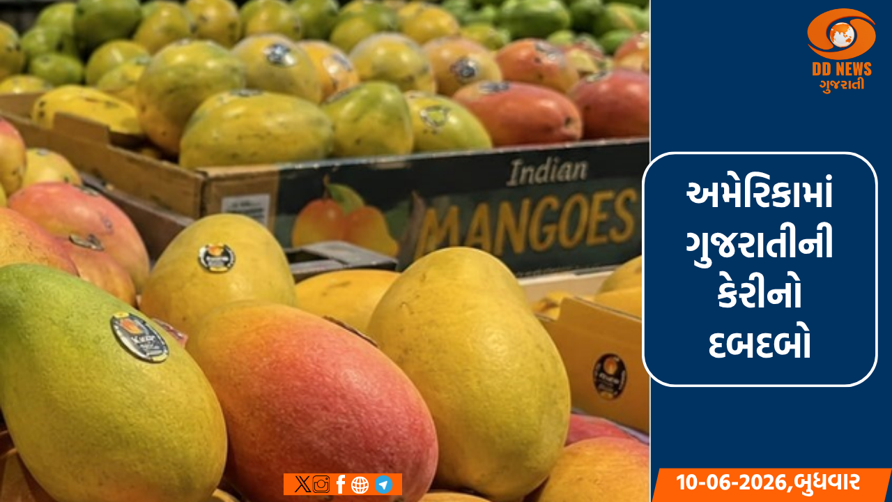 અમેરિકનોને કેરીનો લાગ્યો ચસકો, સિયાટલથી ન્યૂ જર્સી સુધી કેરીની જબરદસ્ત માંગ