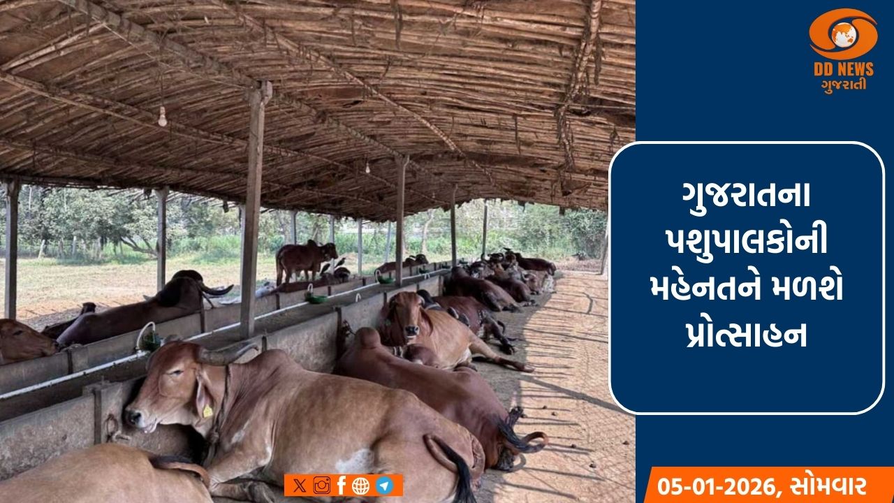 ગાંધીનગર ખાતે તા. 6 જાન્યુઆરીના રોજ યોજાશે ‘શ્રેષ્ઠ પશુપાલક એવોર્ડ’ વિતરણ સમારોહ