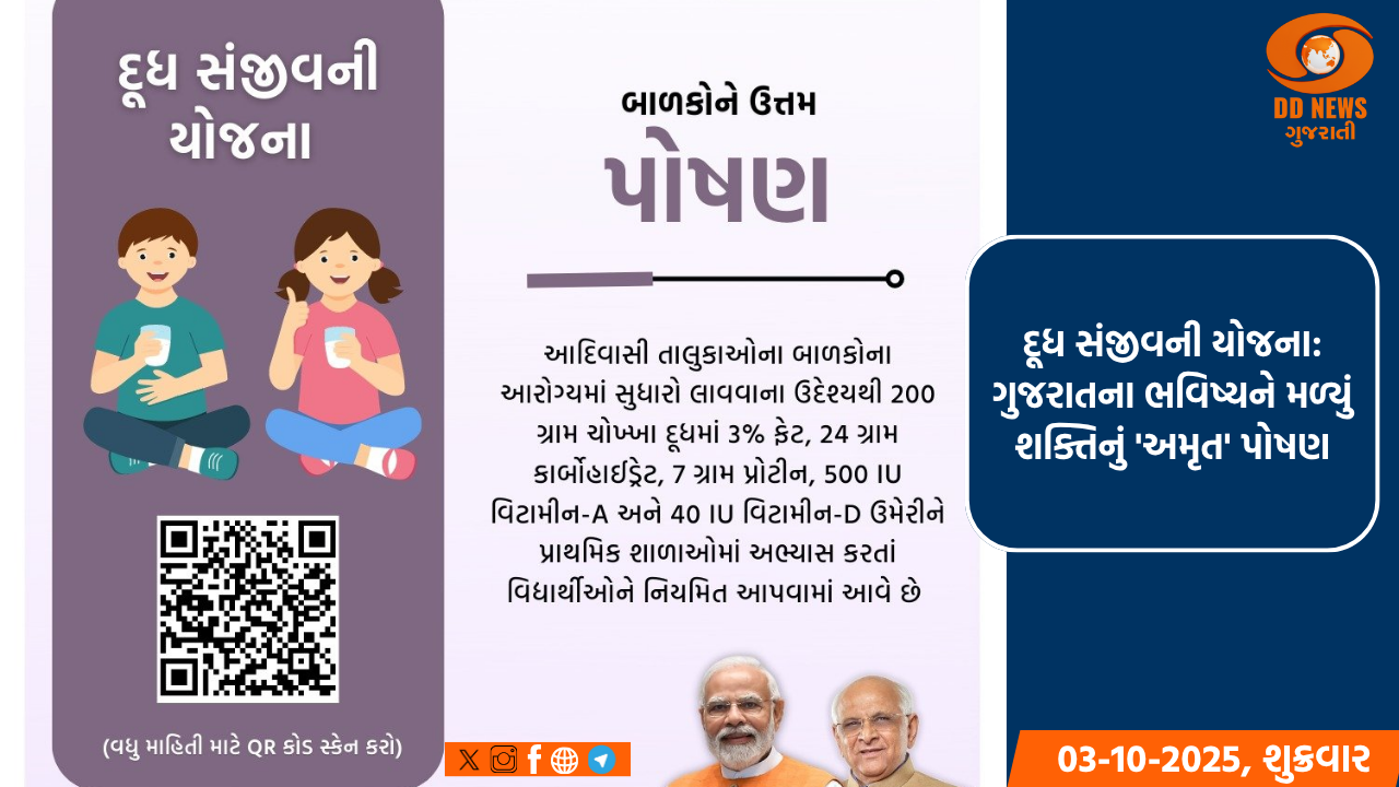 આવતીકાલથી રાષ્ટ્રીય માર્ગ સલામતી માસની થશે શરૂઆત 