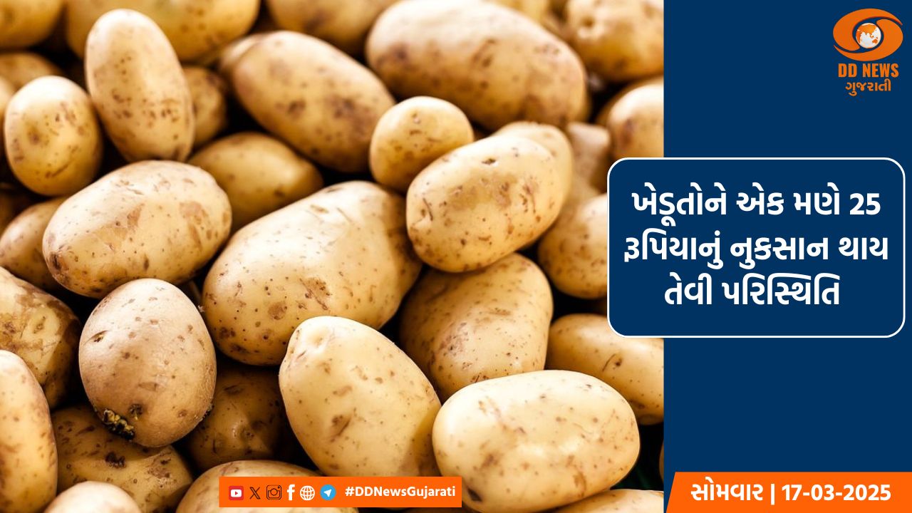  ડીસામાં બટાટાનું ઉત્પાદન વધારે થતાં ખેડૂતોની હાલત કફોડી,કોલ્ડ સ્ટોરેજો હાઉસફુલ