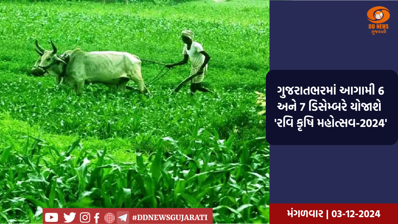 ગુજરાતભરમાં આગામી 6 અને 7 ડિસેમ્બરના રોજ યોજાશે 'રવિ કૃષિ મહોત્સવ-2024'