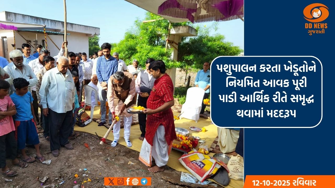 મહેસાણા જિલ્‍લામાં શાકભાજી પાકોના વાવેતરમાં ટ્રેલીઝ મંડપ યોજના હેઠળ 793 લાભાર્થીઓને 1.76 કરોડ રૂ.થી વધુની સહાય ચૂકવાઈ