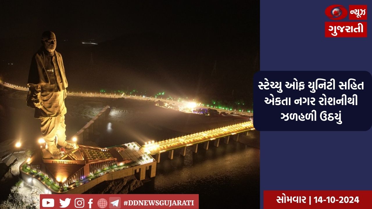 સ્ટેચ્યુ ઓફ યુનિટી સહિત એકતા નગર રંગબેરંગી રોશનીથી ઝળહળી ઉઠયું