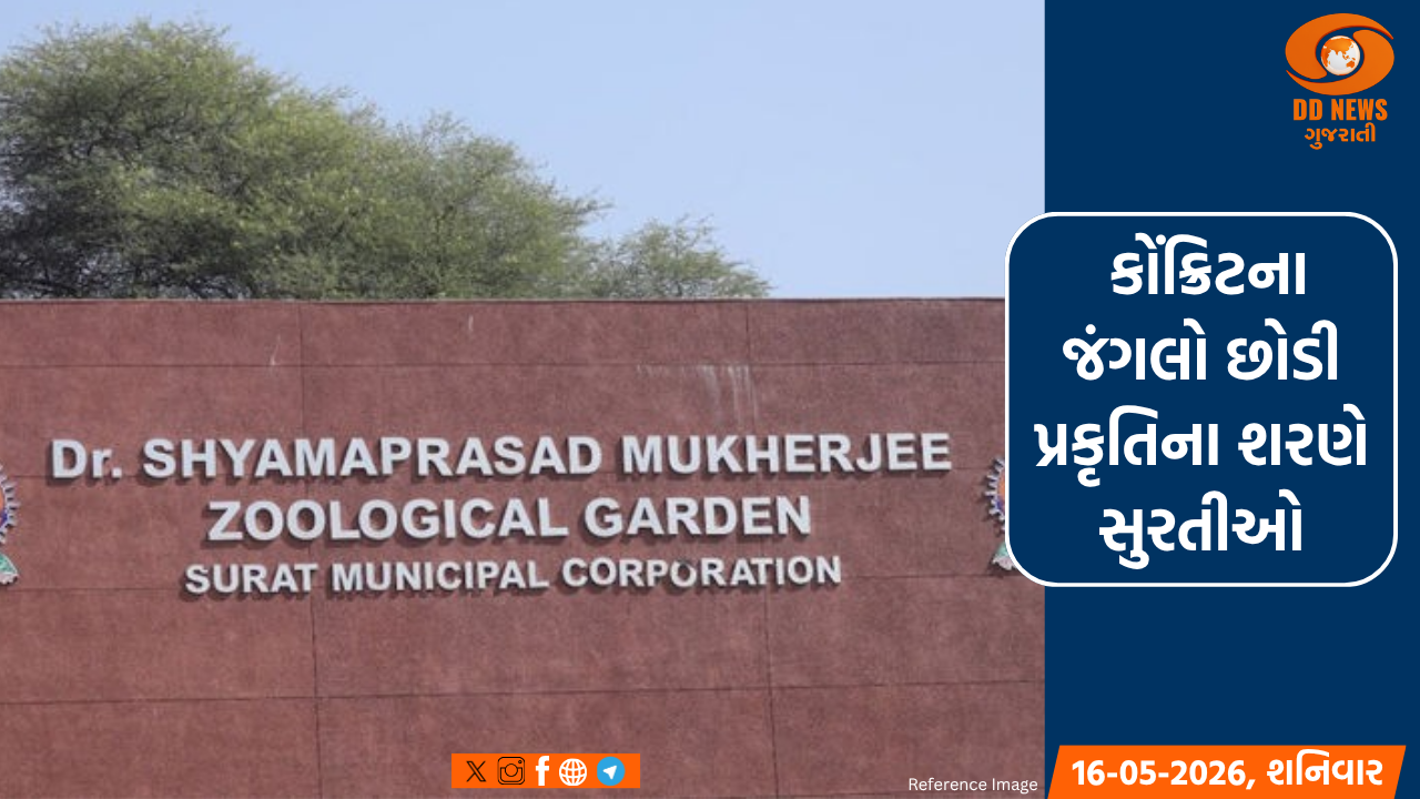 સુરતના સરથાણા ઓપન ઝૂમાં એક જ વર્ષમાં 9.50 લાખ લોકોએ મુલાકાત લીધી