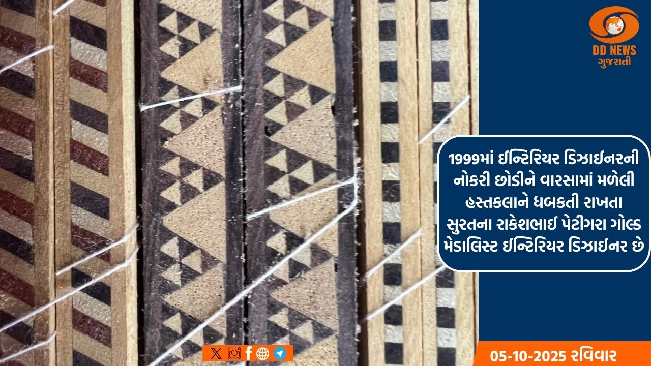 લુપ્ત થઈ રહેલી સાડેલી આર્ટનું 150 વર્ષથી જતન અને સંવર્ધન કરી રહેલો, સુરતનો પેટીગરા પરિવાર